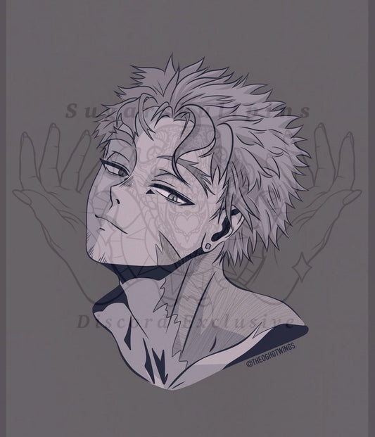 Pro Hero Hawks
